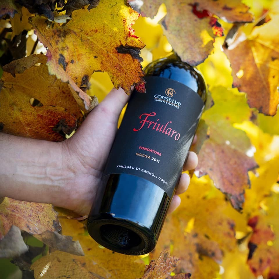 Immagine 3 - Conselve Vigneti e Cantine S.C.A.
