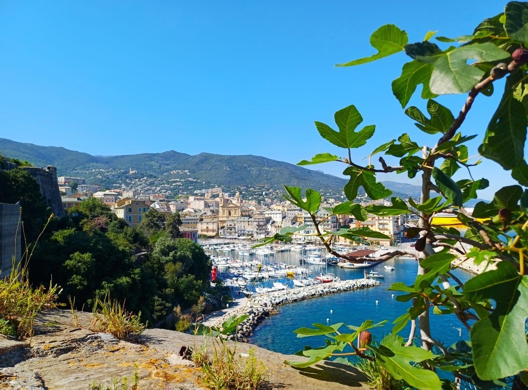Immagine 8 - Brocadello Viaggi