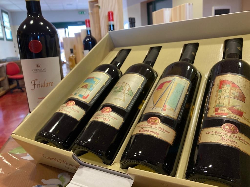 Immagine 2 - Conselve Vigneti e Cantine S.C.A.