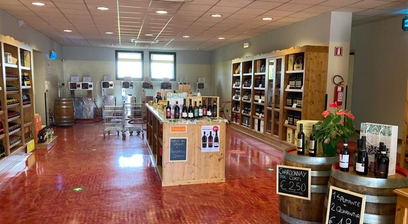 Immagine 5 - Conselve Vigneti e Cantine S.C.A.