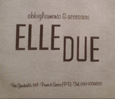 Logo Elledue