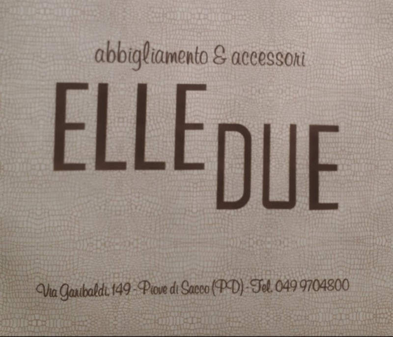 Logo Elledue